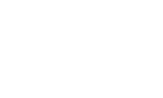 Lynx Icon #2